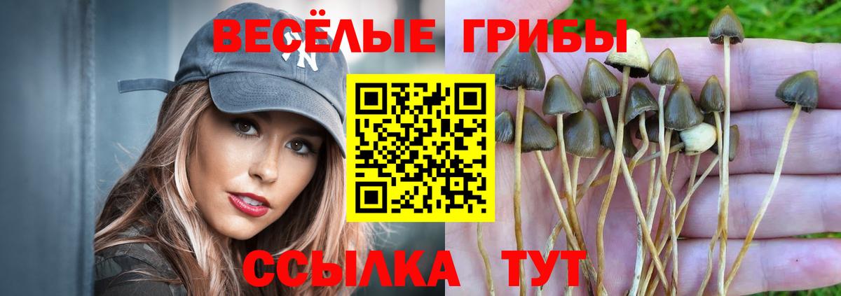 Галлюциногенные грибы мухоморы  Псилоцибиновые грибы мухоморы  купить наркотики цена  Мценск  Вход с VPN 